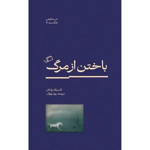 item.website_item_name