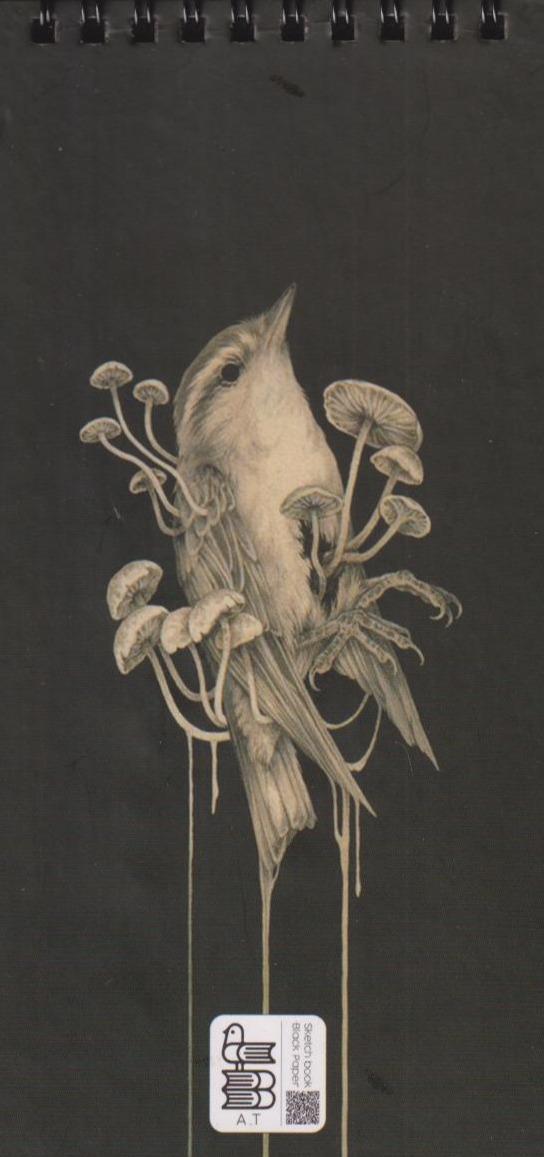 دفتر طراحی 20 برگ مشکی 20×10 سیمی Amir Tahrir 2003