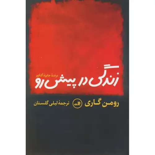 item.website_item_name