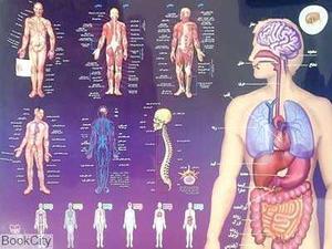 item.website_item_name