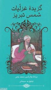 item.website_item_name