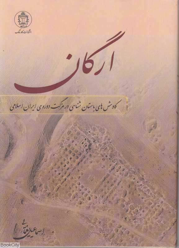 ارگان (کاوش‌های باستان‌شناسی در مزگت دوره ایران اسلامی)