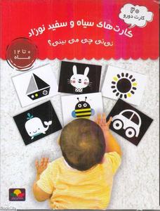 item.website_item_name