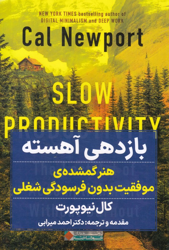 بازدهی آهسته (هنر گمشده موفقیت بدون فرسودگی شغلی)