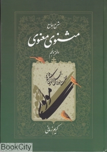 شرح جامع مثنوی معنوی دفتر پنجم - 0