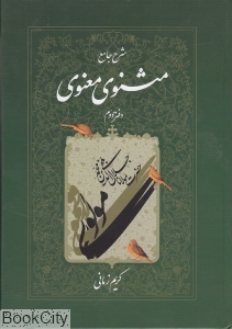شرح جامع مثنوی معنوی دفتر دوم - 0