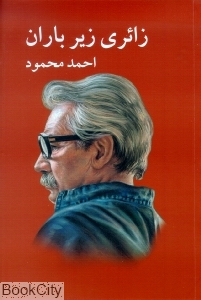 زائری زیر باران