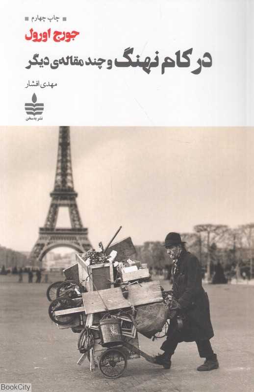 در کام نهنگ و چند مقاله دیگر