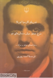 مرغ عشق میان دندان‌های تو