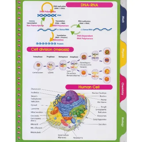 یدک کلاسور 26 حلقه 100 برگ dotnote Science