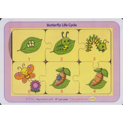 جورچین چوبی 2 زبانه (آشنایی با چرخه رشد پروانه)