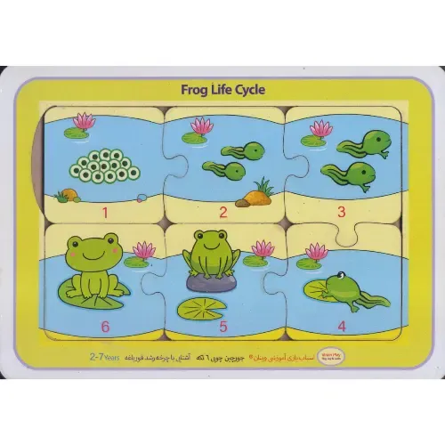 جورچین چوبی 2 زبانه (آشنایی با چرخه رشد قورباغه)