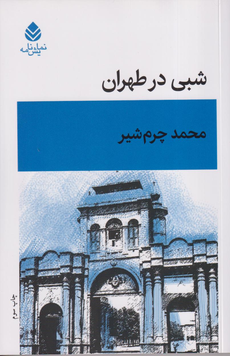 شبی در طهران